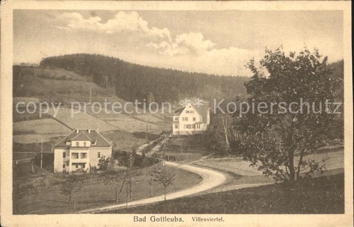 Bad Gottleuba-Berggiesshuebel Villenviertel