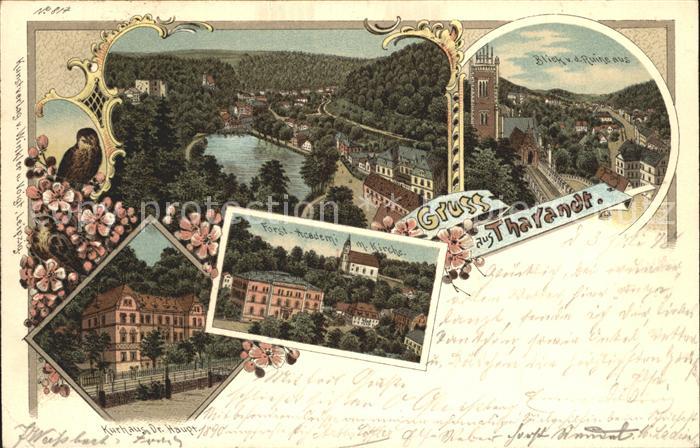 Tharandt Panorama Kurhaus Forstakademie Ruine Litho Reichspost