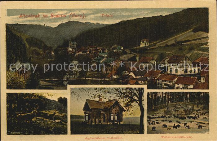 Altenbrak Harz Bodetal Jagdschloesschen Wildschweinfuetterung