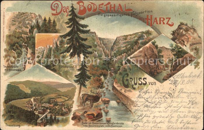 Altenbrak Harz TEufelsbruecke mit Rosstrappe Treseburg Bodekessel