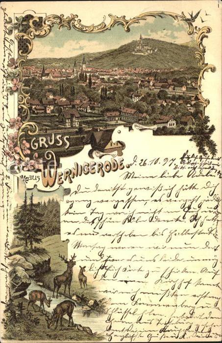 Wernigerode Harz Panorama