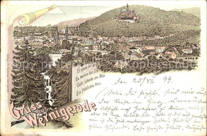 Wernigerode Harz Schloss Panorama