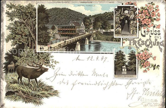 Treseburg Harz Hotel Forelle Wilhelmsblick Pfeildenkmal