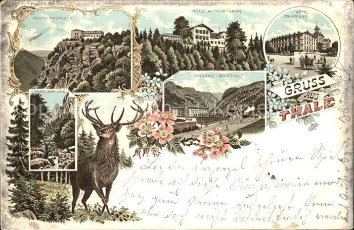 Thale Harz Hexentanzplatz Hotel zur Rosstrappe Hotel Zehnpfund Teufelsbr?cke