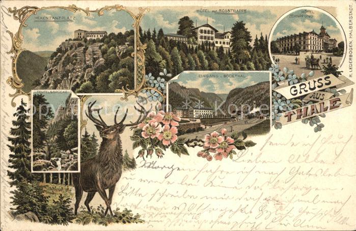 Thale Harz Hexentanzplatz Hotel zur Rosstrappe Hotel Zehnpfund