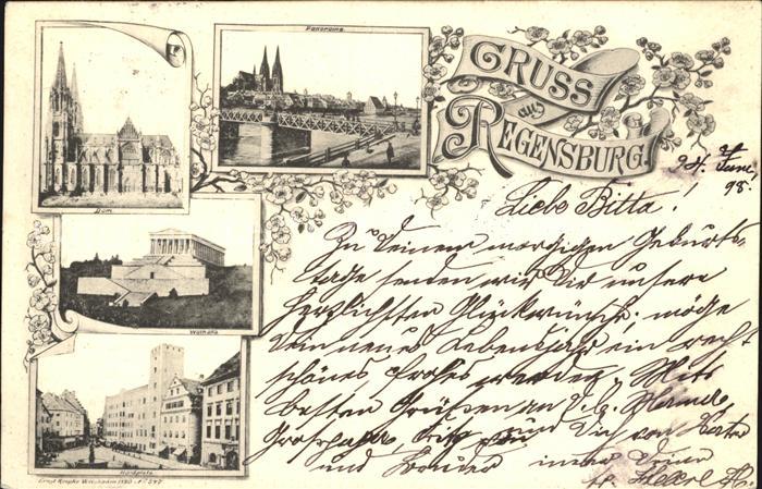 REGENSBURG Bayern Dom Walhalla Panorama Haidplatz