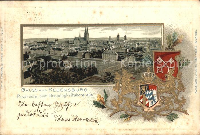 REGENSBURG Bayern Panorama Blick vom Dreifaltigkeitsberg