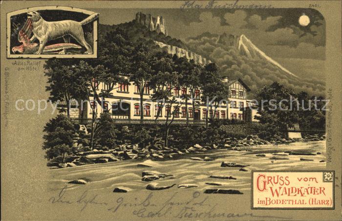 Bodetal Harz Waldkater Altes Relief am Hotel