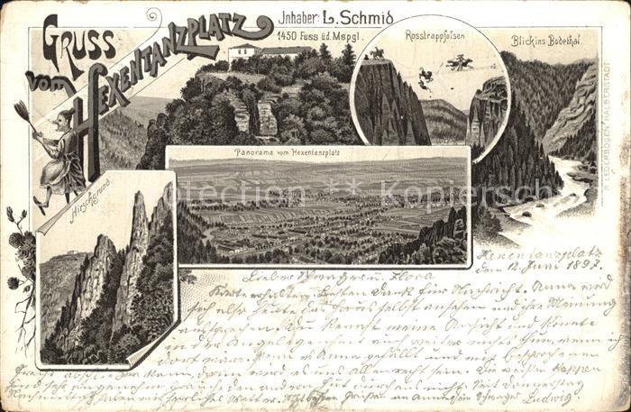 Thale Harz Hirschgrund Rosstrappfelsen Panorama Hexentanzplatz