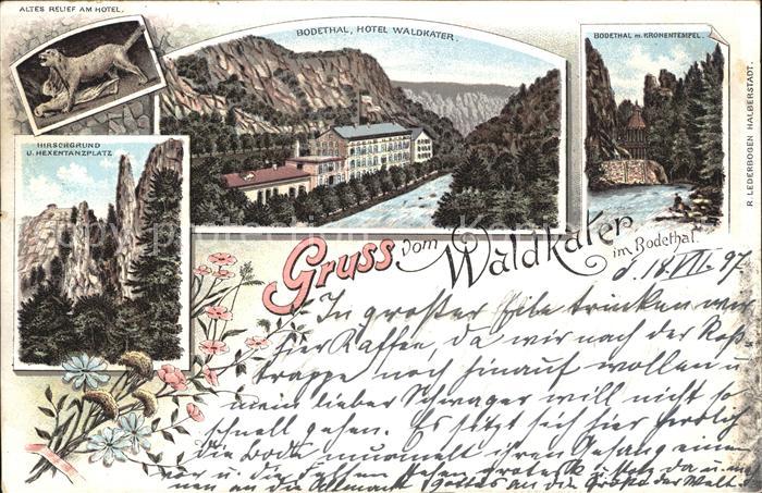 Bodetal Harz Altes Relief am Hotel Hotel Waldkater Hirschgrund Hexentanzplatz