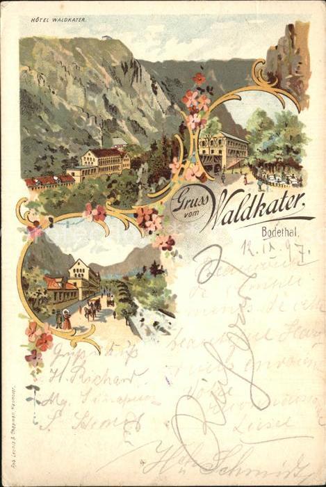 Bodetal Harz Waldkater