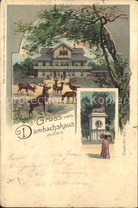 Thale Harz Dambachshaus