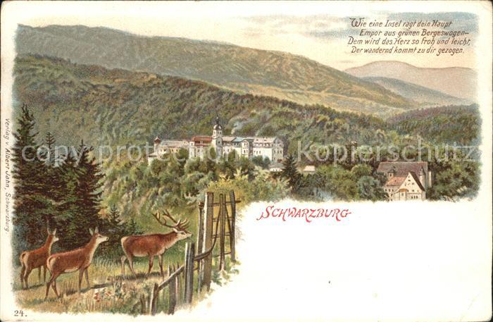 Schwarzburg Thueringer Wald Panorama Hirsch Rehe Litho