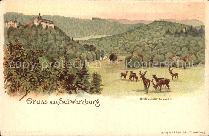 Schwarzburg Thueringer Wald Panorama Blick von der Terrasse Wild