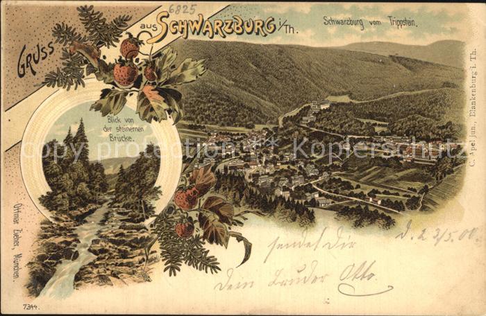 Schwarzburg Thueringer Wald Panorama Blick vom Trippstein Steinerne Bruecke Lith