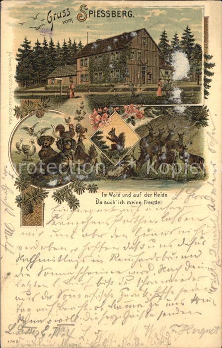 Friedrichroda Spiessberg Haus Waldtiere