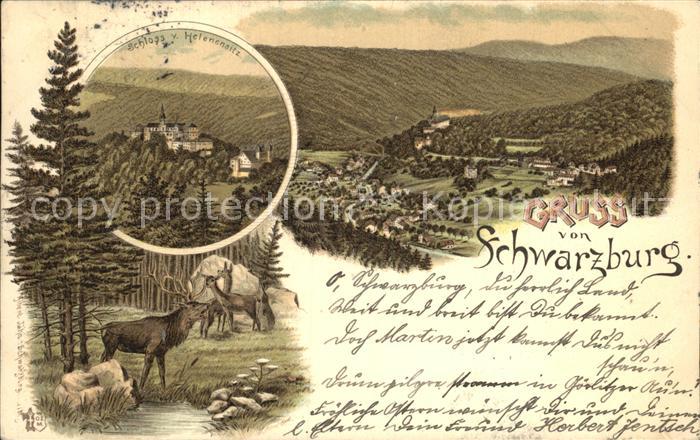 Schwarzburg Thueringer Wald Panorama Schloss Hirsch Litho
