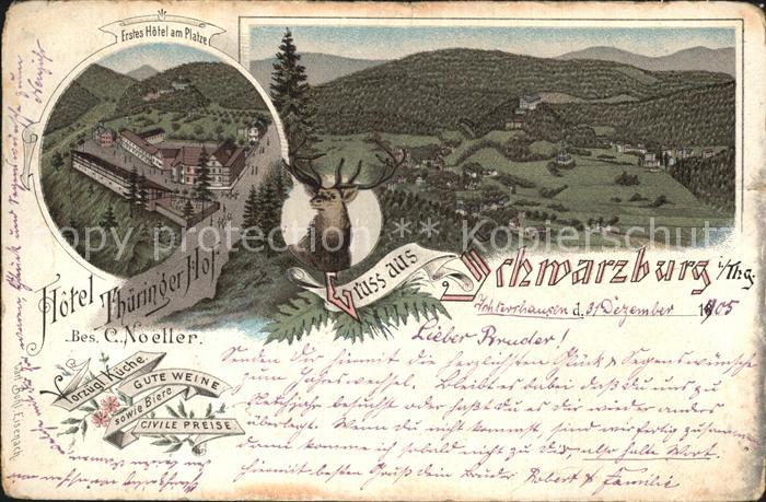 Schwarzburg Thueringer Wald Hotel Thueringer Hof Hirsch Panorama Litho