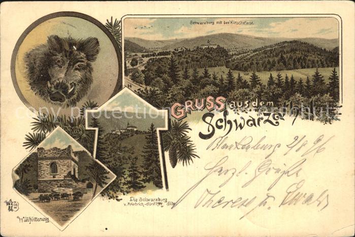 Schwarzatal Schwarzburg mit der Hirschwiese Wildschwein Schwarzburg Wildfuetteru