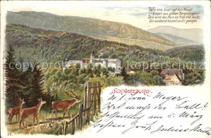 Schwarzburg Thueringer Wald Schloss Wild Gedicht Litho