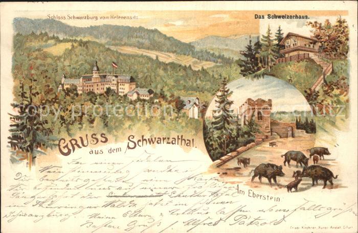 Schwarzatal Schloss Schweizerhaus Eberstein Wildschweine Litho