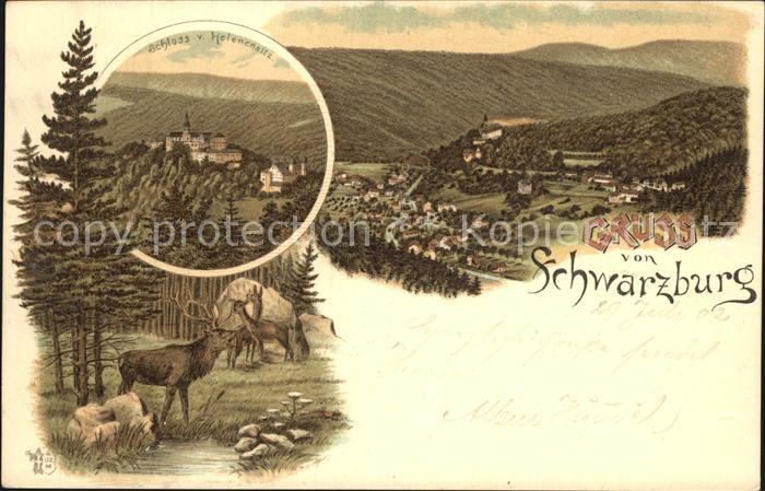 Schwarzburg Thueringer Wald Panorama Schloss Wild Litho