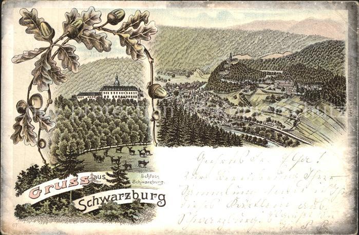 Schwarzburg Thueringer Wald Panorama Schloss Eichenlaub Litho