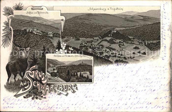 Schwarzburg Thueringer Wald Schloss Blick vom Tripstein Hirsch Litho