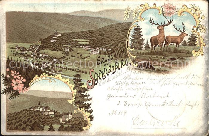 Schwarzburg Thueringer Wald Panorama Landschaft Hirsche Litho