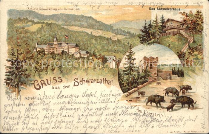 Schwarzatal Schloss Schwarzburg Schweizerhaus Eberstein Wildschweine Litho