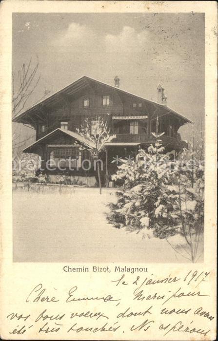 Malagnou Geneve Chemin Bizo en hiver