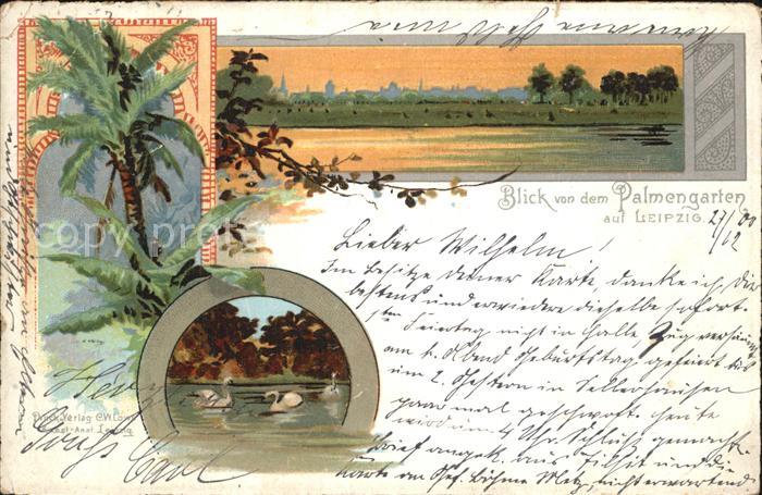 LEIPZIG Sachsen Blick vom Palmengarten Schwanenteich Palme