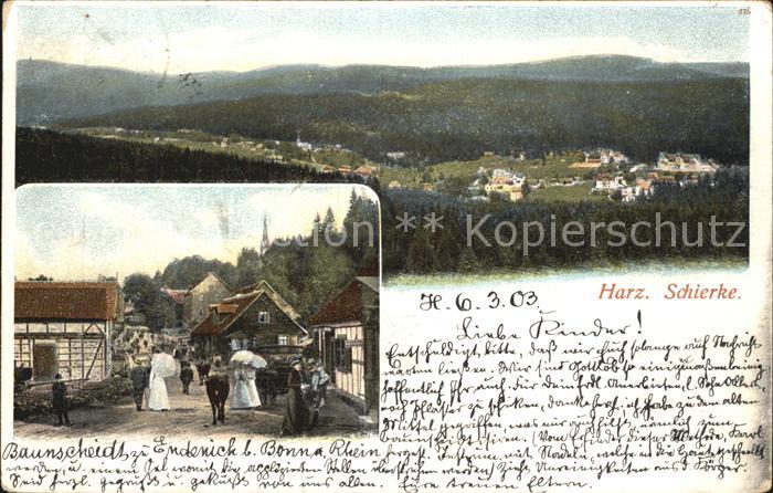 Schierke Harz Panorama Landschaft Strassenszene