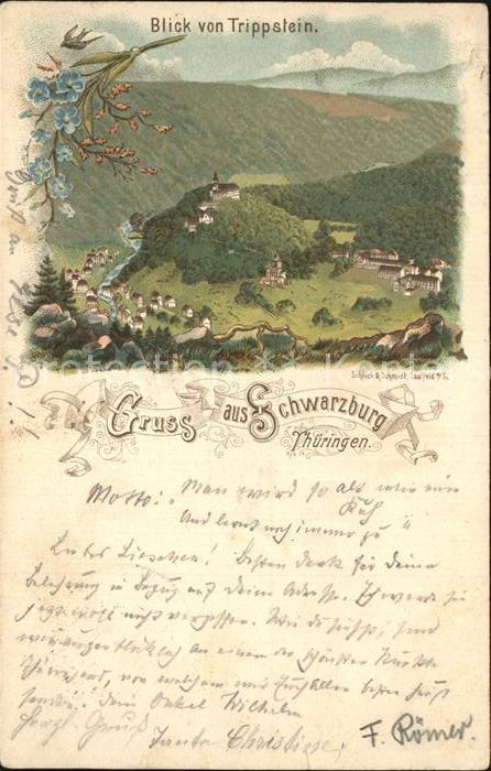 Schwarzburg Thueringer Wald Panorama Blick vom Trippstein