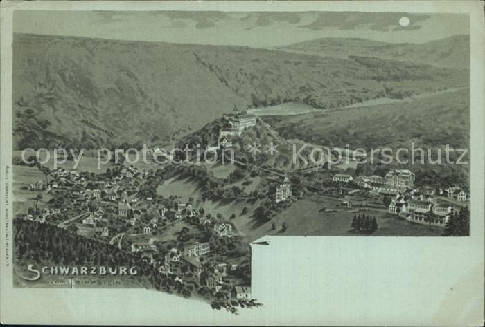 Schwarzburg Thueringer Wald im Mondschein