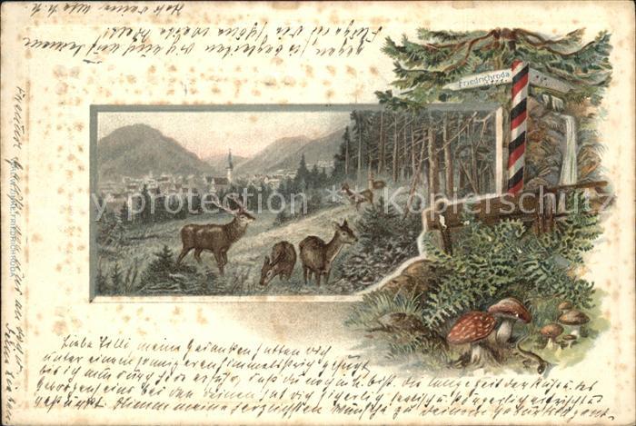 Friedrichroda Wegweiser Waldpartie Wild Pilze Praegedruck