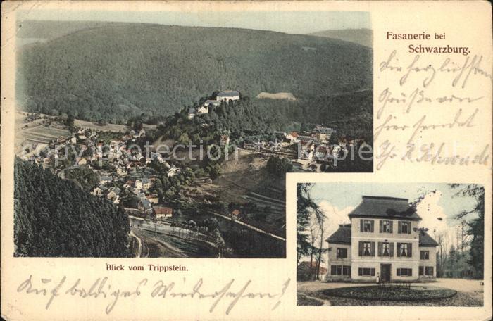Schwarzburg Thueringer Wald Panorama Blick vom Trippstein Fuerstliches Jagdschlo