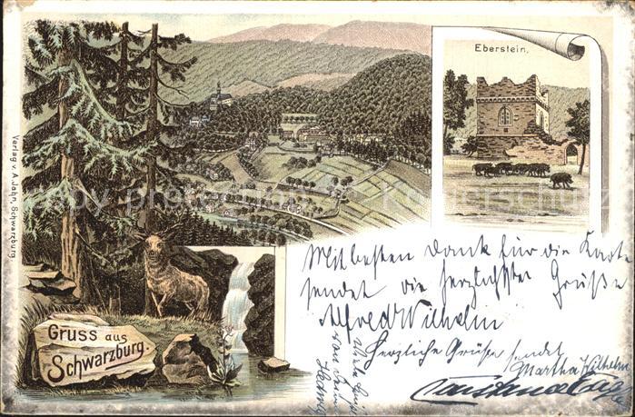 Schwarzburg Thueringer Wald Panorama Waldpartie Hirsch Eberstein Ruine Wildschei