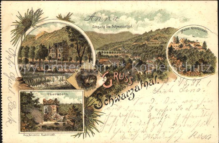 Schwarzatal Eingang ins Schwarzatal Ruine Greifenstein Eberstein Wildschwein Lit