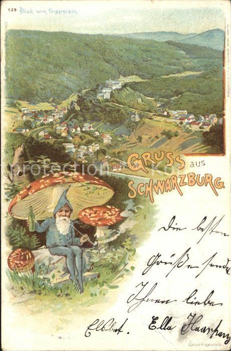 Schwarzburg Thueringer Wald Panorama Blick vom Trippstein Fliegenpilz Zwerg