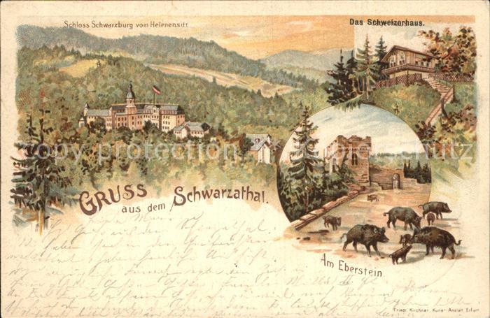 Schwarzatal Schloss Schwarzburg Schweizerhaus Eberstein Wildschweine
