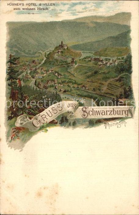 Schwarzburg Thueringer Wald Panorama Huebners Hotel und Villen zum Weissen Hirsc