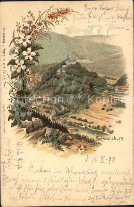 Schwarzburg Thueringer Wald Panorama