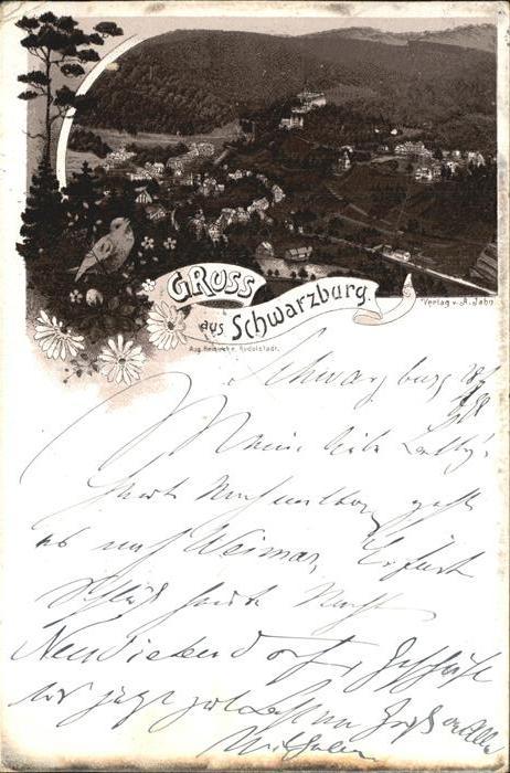 Schwarzburg Thueringer Wald Panorama Singvogel