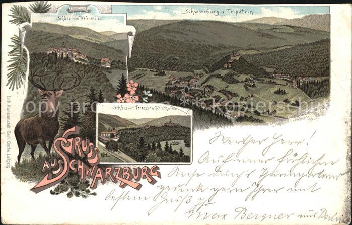 Schwarzburg Thueringer Wald Panorama Blick vom Trippstein Schloss Hirsch Litho