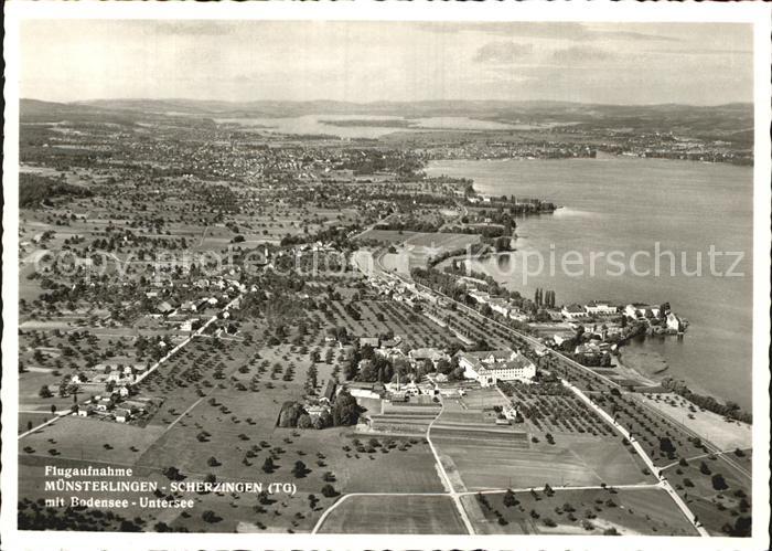 Muensterlingen Bodensee Scherzingen Bodensee Untersee Flugaufnahme