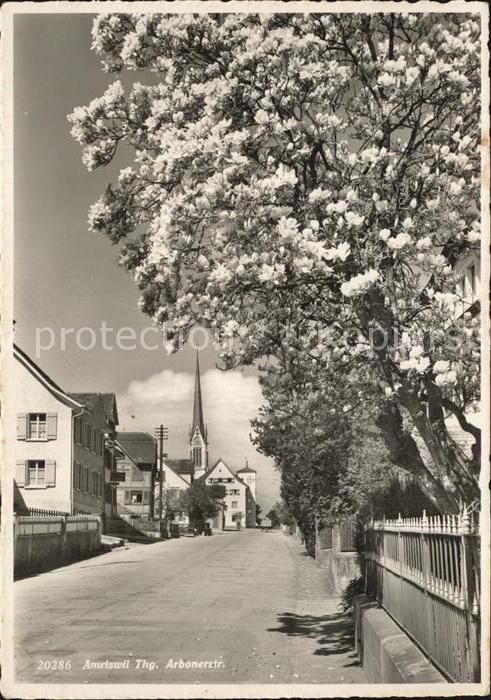 Amriswil TG Arbonerstrasse