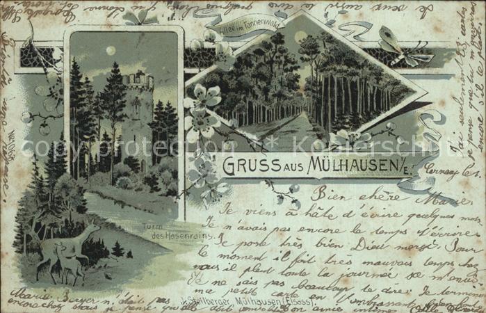 Muelhausen Elsass Tannenwald Turm Hasenrain Mondschein