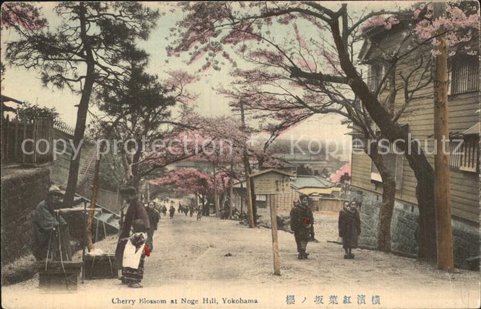 Yokohama Kirschblüte