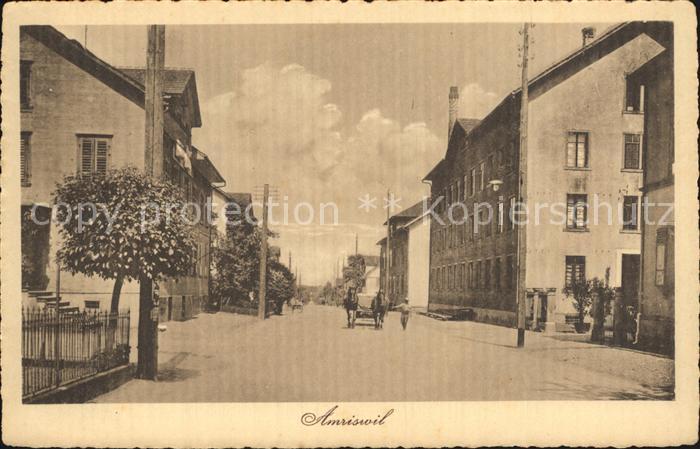 Amriswil TG Pferdefuhrwerk